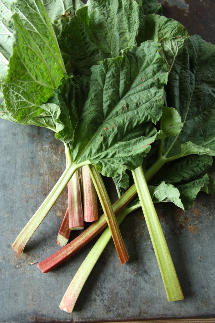 rhubarb