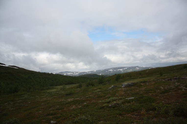 rolling nordic fell