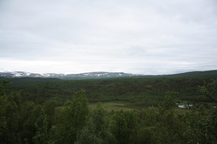 wetlands and rivers swedish lapland