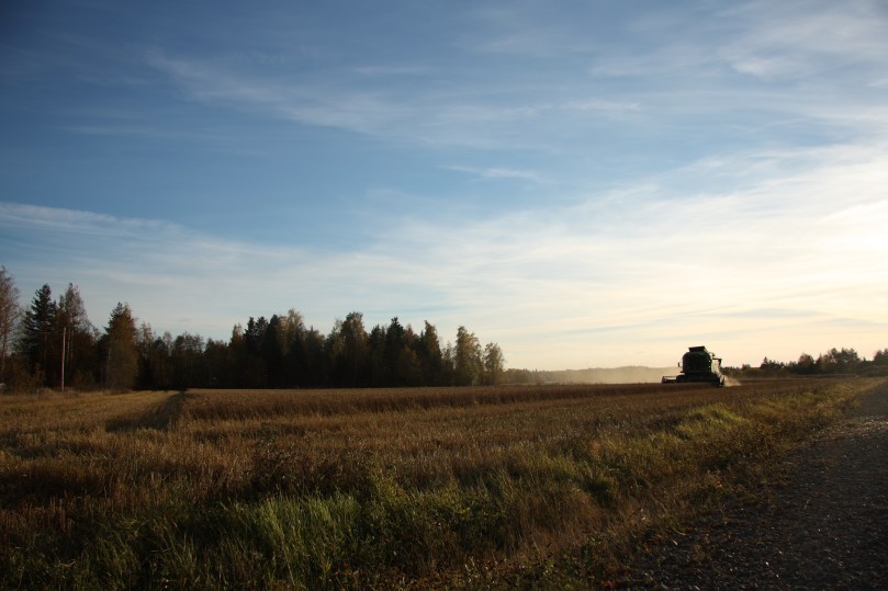 sights and sounds of october