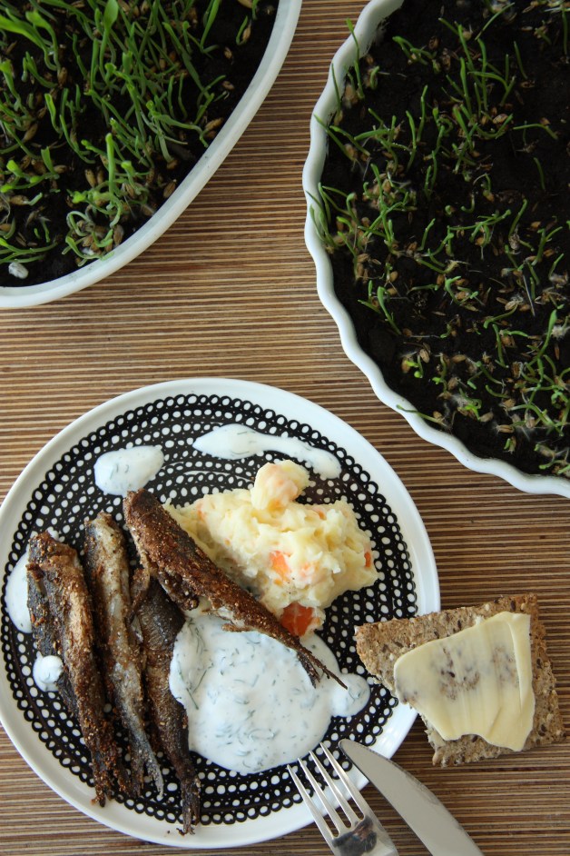 vendence with dill sauce